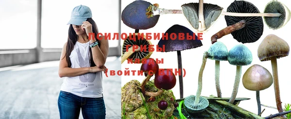 мяу мяу мука Бородино