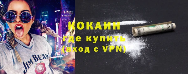мяу мяу мука Бородино