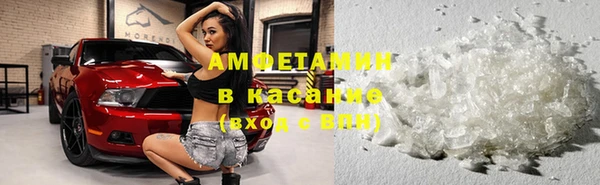 мяу мяу мука Бородино