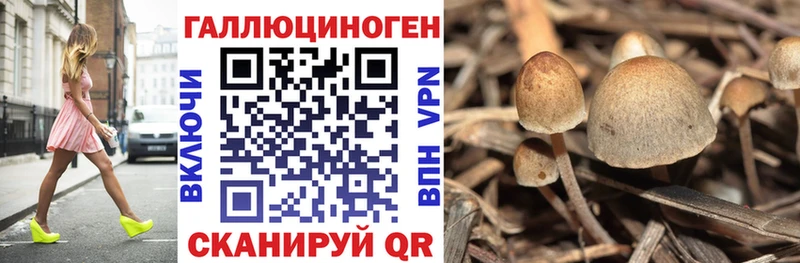 Галлюциногенные грибы Psilocybe  Хабаровск 